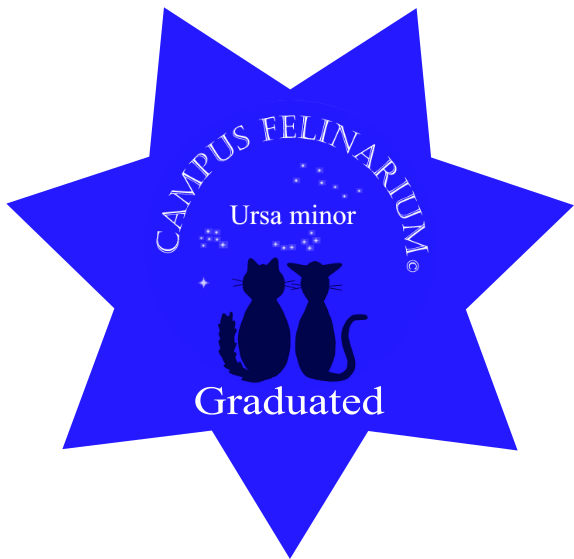 Ursa Minor Graduation certifikate
